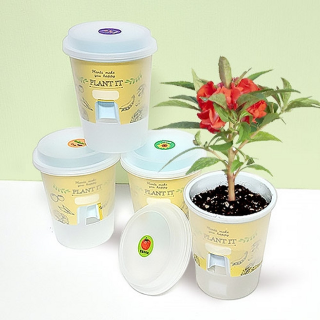 [두두엠] 저면관수 올인원 화분 키트(5종), 봉선화, 1개