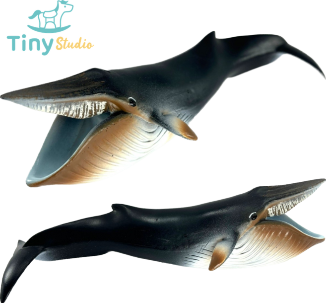 타이니스튜디오 대왕고래 피규어 장난감 완구 모형 해양동물 바다생물 고래 상어 KC인증, 1개
