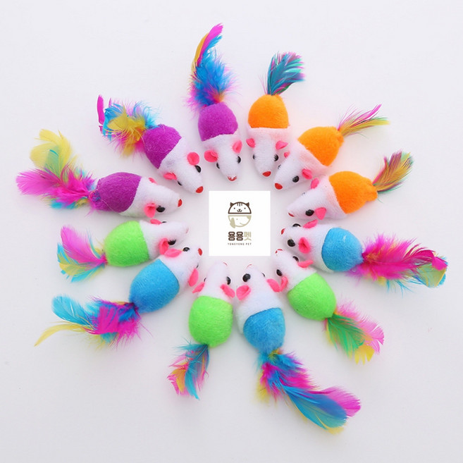 용용펫(허차허차) 깃털 쥐돌이K 12개/1세트 (색상 랜덤)