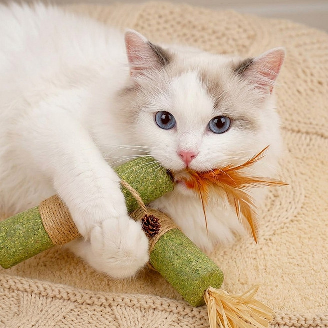냥이묘해 고양이 장난감 고양이 캣닢 캣잎 빅사이즈 고양이 이갈이 장난감, 2개, 빅캣닢 스틱