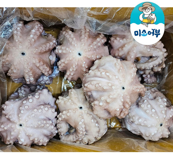 미소어부 모리타니아 생문어 세척문어 업소용, 1박스, 200/300g(약27~33미) 8KG