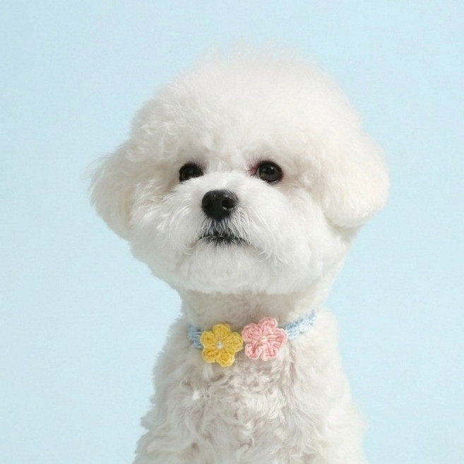 큐앤캐롯 강아지 케이프 고양이 스카프 플라워 진주 목걸이, 1개, 블루