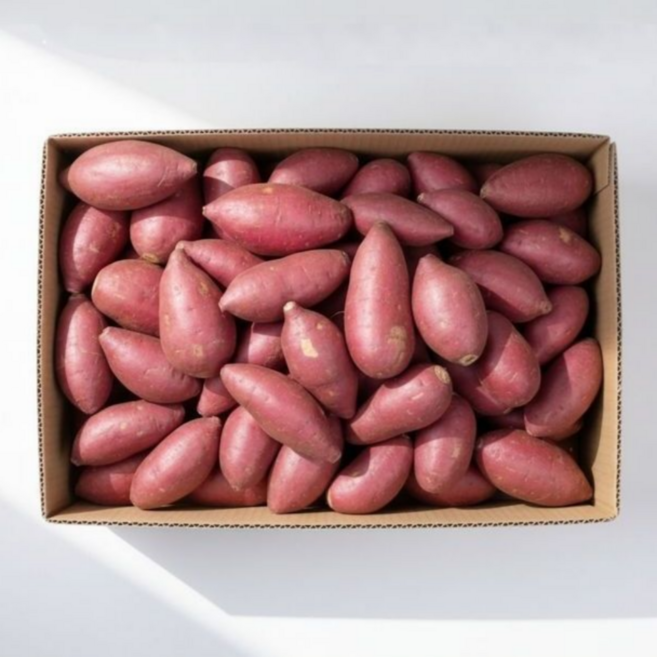 프리미엄 세척 꿀고구마 해남, 1박스, 한입 10kg