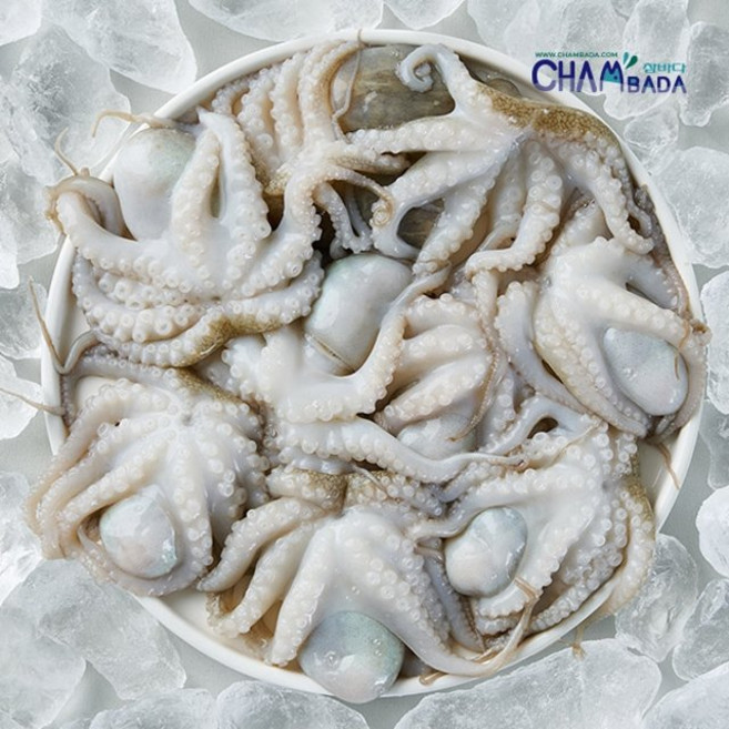 [쇼핑엔티] [만능수산시장] 만능 통 주꾸미 600g x 5팩 + 만능볶음소스 50g x 5팩, 없음