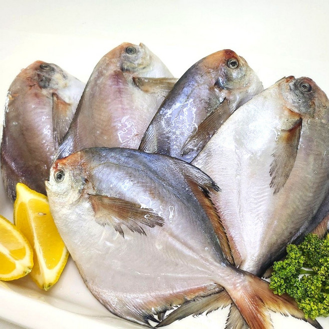 수산잇츠 국내산 병어 냉동 병어조림, 5개, 600g내외 (5미)