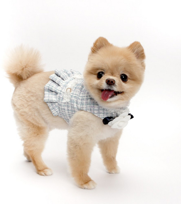 이츠독 반려동물 까멜리아 트위드 하네스, 블루