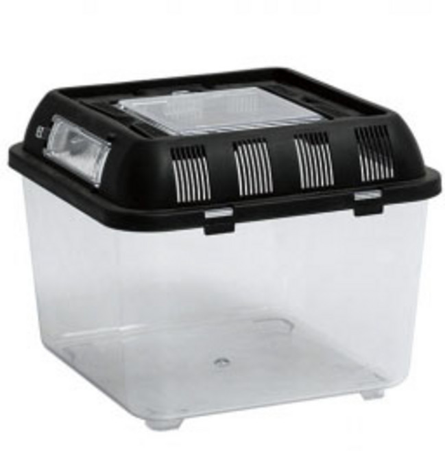 밀림펫 [렙티쥬]브리딩 박스 소, 1개