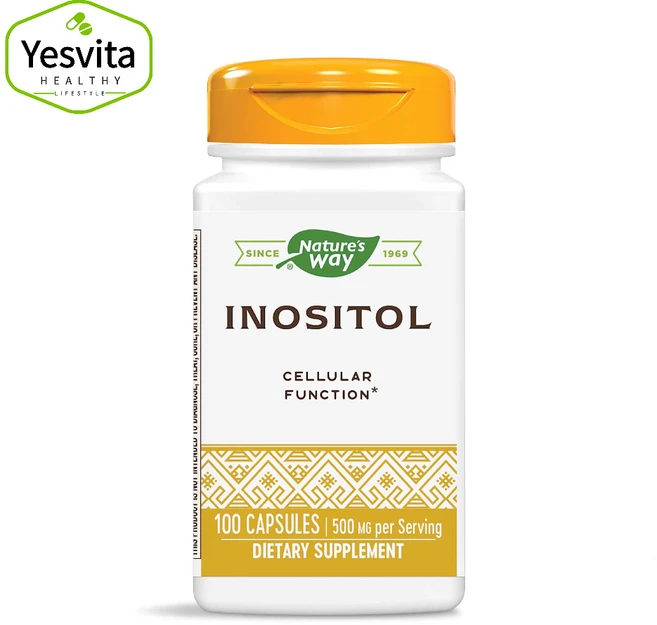 네이처스웨이 이노시톨 500mg 캡슐 100정, 1개 - 쿠팡