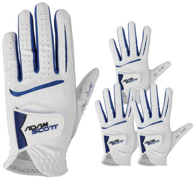 아담스콧 골프장갑 테크원 반양피 남성용 왼손착용 4p, 화이트 + 블루, 1세트