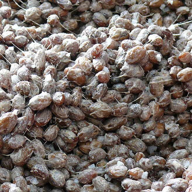 유모례 청국장 /맛있는 수제 저염생청국장, 1개, 1kg