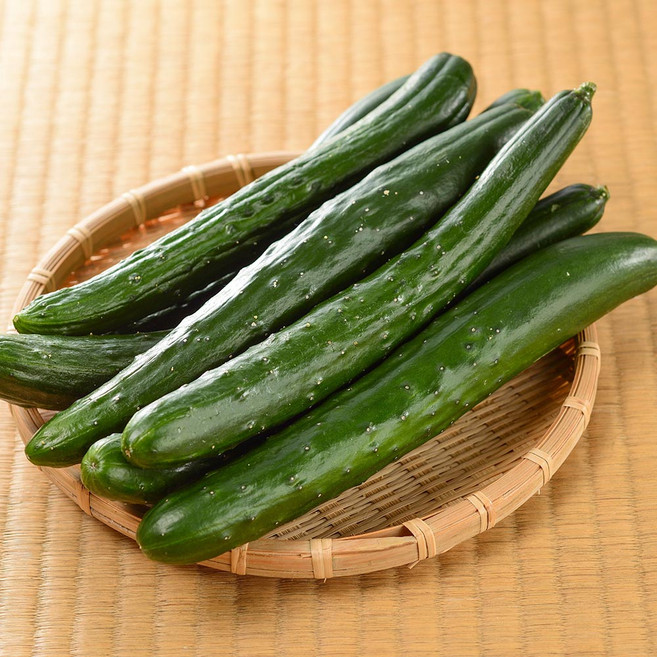 국내산 취청오이 특품 2-10kg, 취청오이 4kg, 1개, 4kg