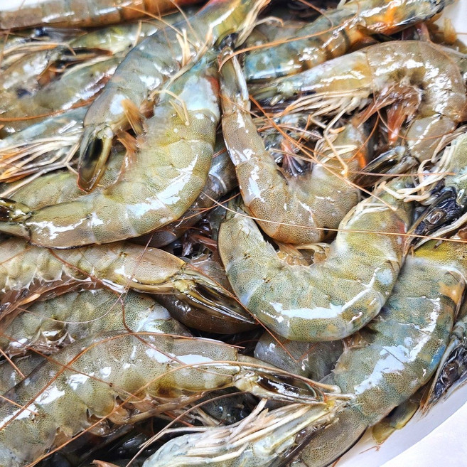 수산잇츠 냉동 흰다리새우, 1개, 2kg