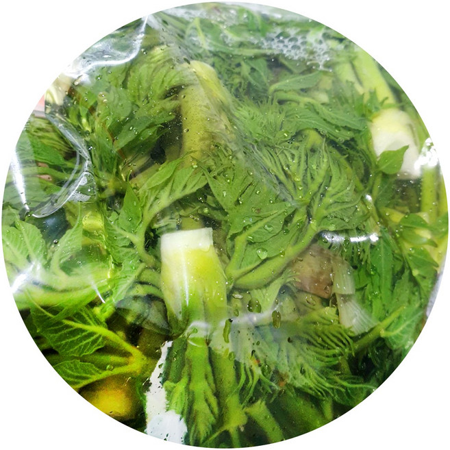 왕언니 국산100% 데친 참두릅, 1개, 250g