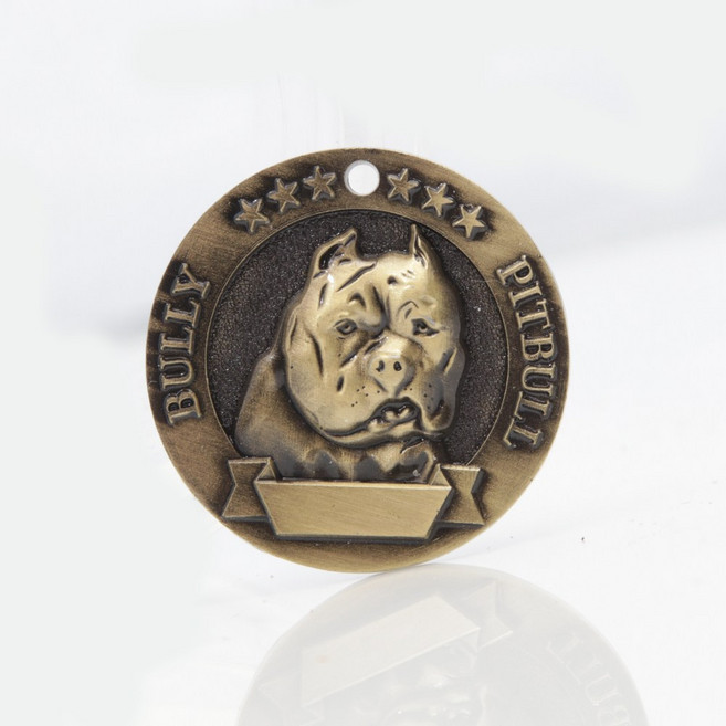 아미펫 대형견 중형견 입체네임택 각인 인식표 실종 이름표 목줄 목걸이, 디형고리, 1개