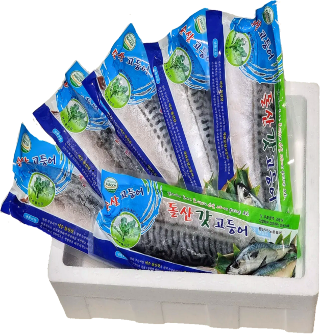 [수산물공장 바로배송]여수 돌산 갓 노르웨이 프리미엄 고등어 1kg, 1세트