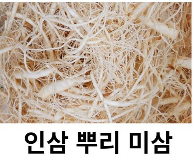 세척인삼 뿌리삼 파삼 미삼잔뿌리 미삼요리용, 1개