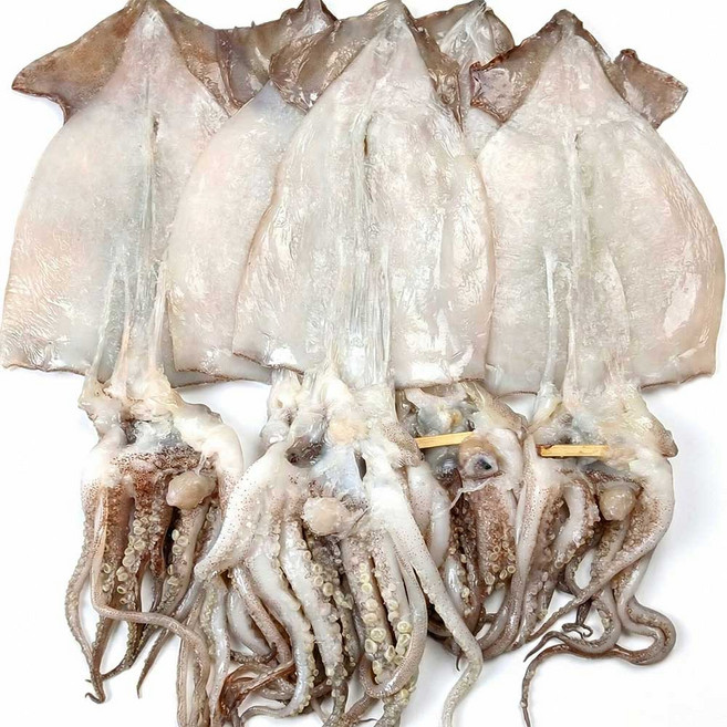 반건조오징어 5미 350g부터, 1개, 파품 500g