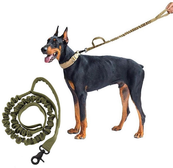 예삐스토어 고탄력 강아지 목줄 리드줄 탄성 충격흡수 산책줄 반려견 중형 대형, 카키, 1개