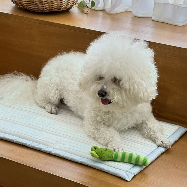 몽뚜뚜 냉감 쿨매트 사각.ver S(30x50), 지그재그, 스카이블루