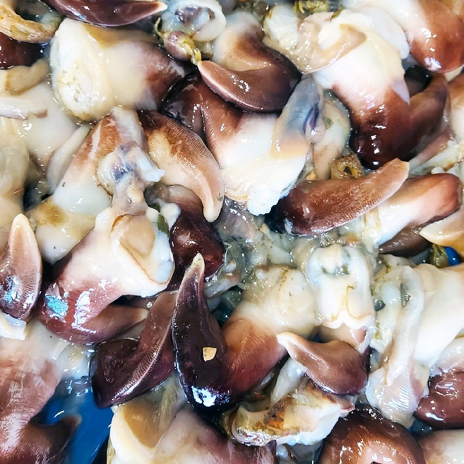 [산지직송] 여수 손질 새조개 제철 초코새조개, 1개, 검정새조개 200g