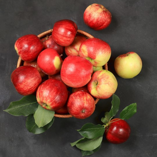 [산지직송] 밀양 얼음골사과 햇사과 부사, 1박스, 밀양얼음골사과 5kg