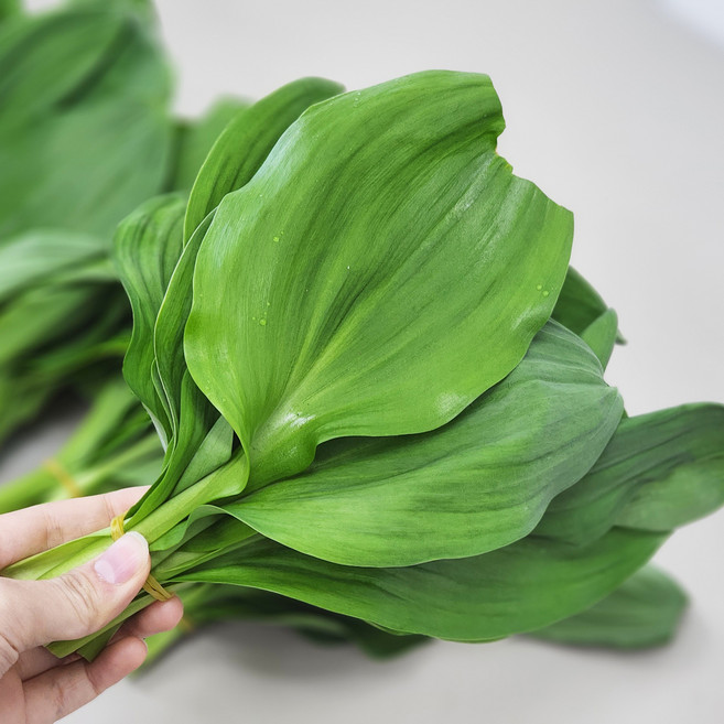 국내산 고랭지 생 명이나물 산마늘 잎명이, 1박스, 2kg
