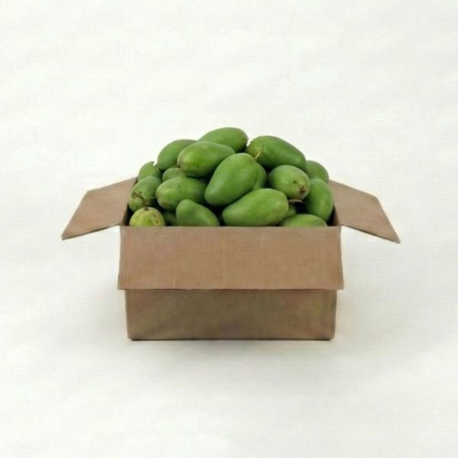 프리미엄 그린망고 3kg 베트남 다일론 깨오망고 선물세트 직수입