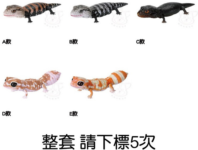 【M.M小舖】BANDAI 轉蛋 扭蛋 生物大圖鑑 藍舌石龍子與西非肥尾守宮 蜥蜴 石龍子 守宮 模型, 1個, 整套(金額550，下X5)2I112