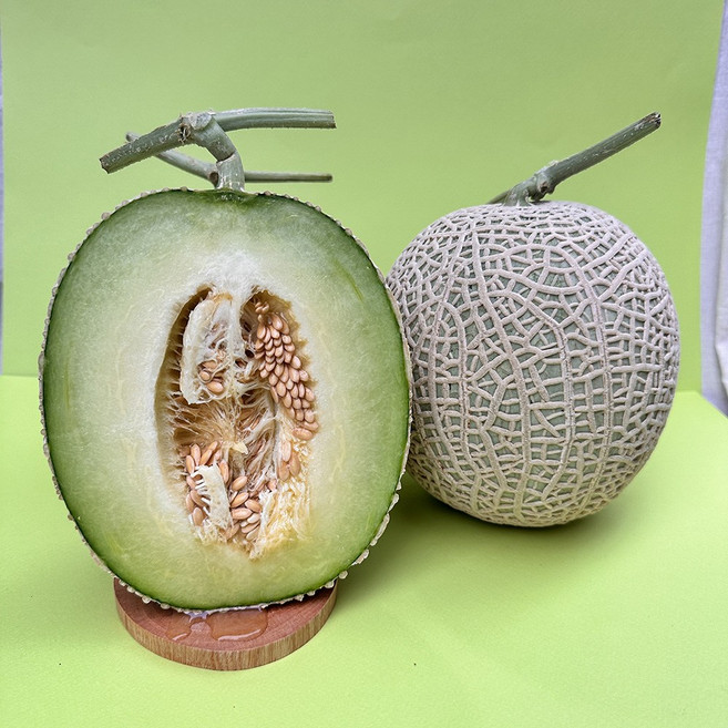 산지직송 고당도 프리미엄 머스크메론 멜론 13브릭스 이상, 1박스, 1.5kg(1수)