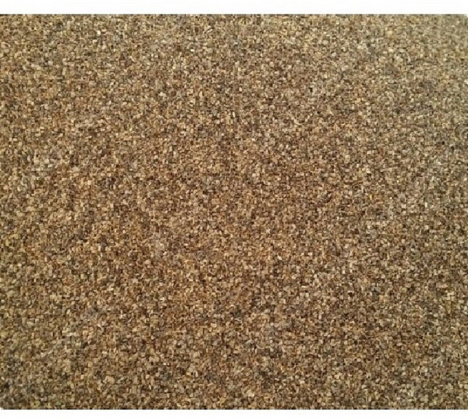 잔대씨앗 만립/잔대종자/딱주/사삼/재래종, 10000개