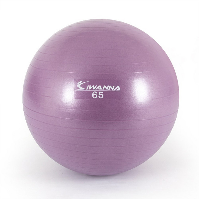 아이워너 안티버스트 마사지 짐볼, 라일락