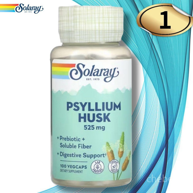 솔라레이 차전자피 가루 100캡슐 차천차피 자전자피 차전자 피, 1개, 100정