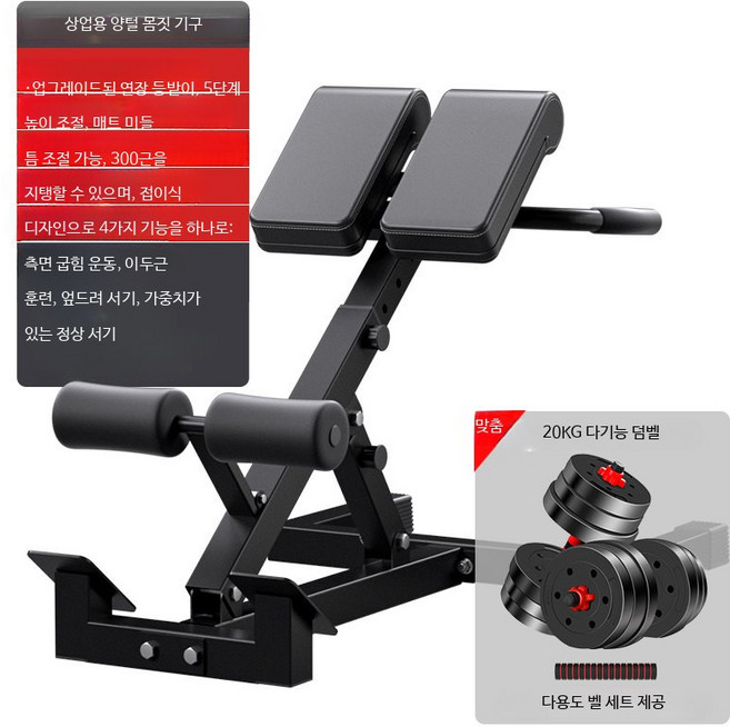 로만체어 복근 운동기구 가정용 등 허리 코어 근력 운동 접이식 헬스 벤치 홈트 트레이너, 고급형 덤벨 20KG 포함