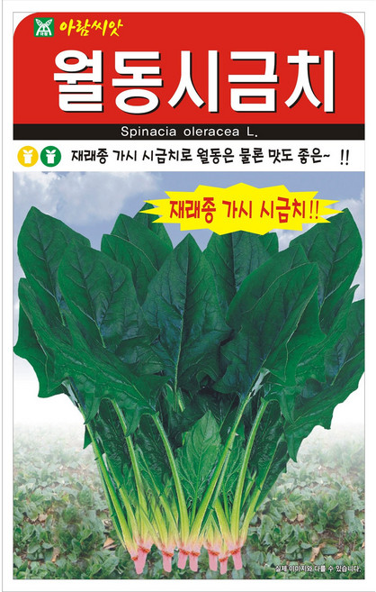 [팜앤리빙] 월동 시금치 씨앗 20g 재래종 겨울시금치, 5개