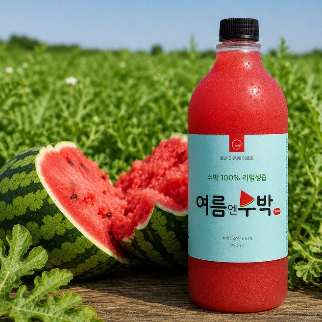 여름엔수박 930mlX3 수박즙 수박주스, 930ml, 3개