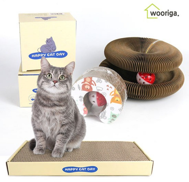 프리미엄 고양이 캣 스크래쳐 평판형 1세트+매직오르간 1세트 장난감 용품 스크레쳐, 1개