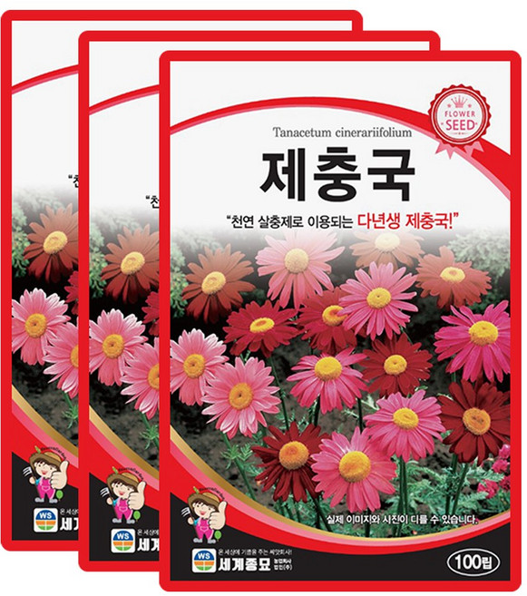 산들마켓 제충국 씨앗 100립 제충국 다년생 꽃씨 3개+랜덤 씨앗 1개 증정