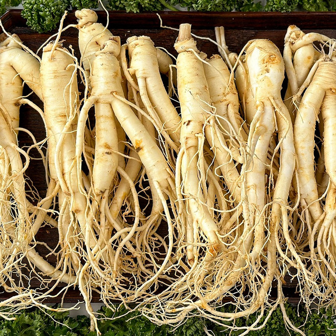 금산 직배송 세척 수삼 난발삼, 1개, 750g