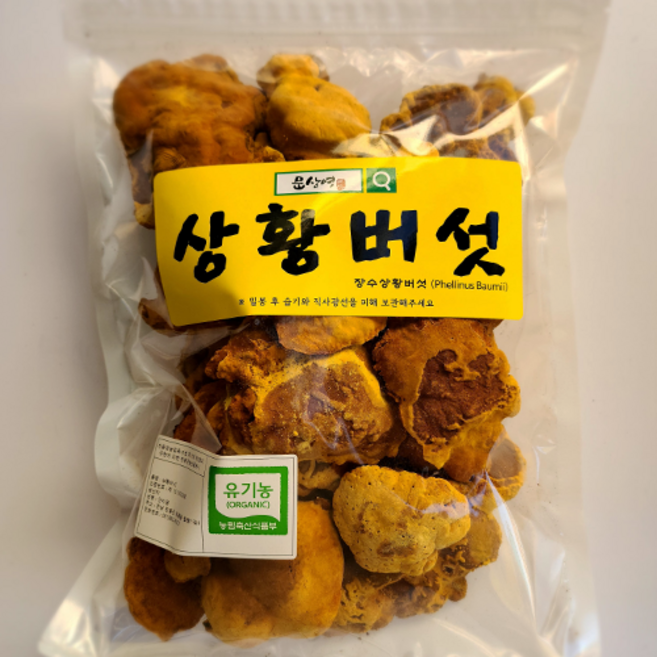[문상영 버섯]장흥 농장직송 상황버섯 실속 원형, 250g, 1개