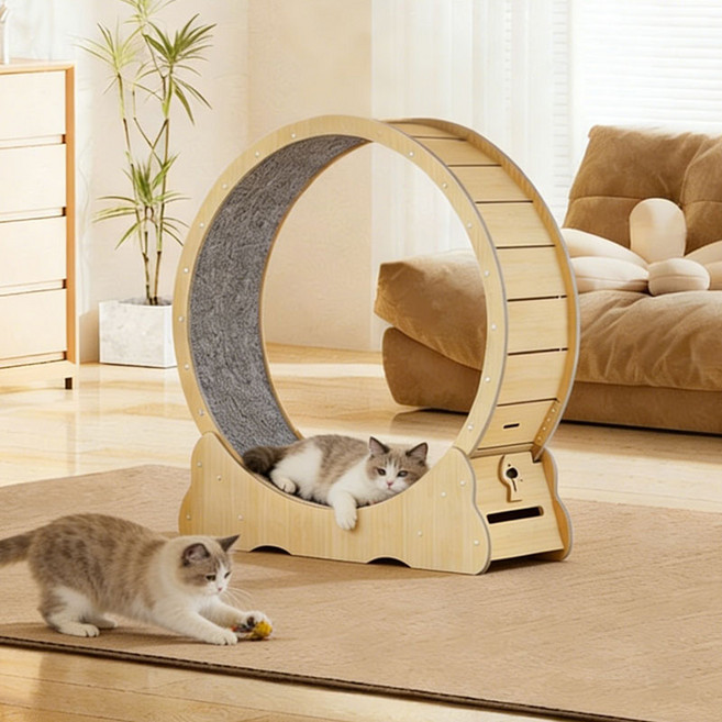 New World 캣휠 고양이 운동훈련 런닝머신 실내 롤러 스크래쳐 건강 관리 펫 장난감, 1개, 원목색