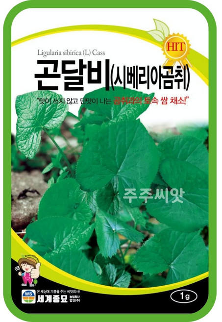 곤달비 1g 씨앗 종자 시베리아곰취 토속쌈채소 쌈용 토속채소 국화과 다년생, 1개
