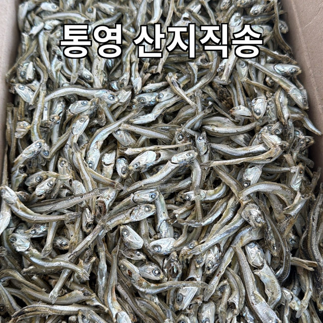 통영 햇 고바멸치 1.5kg 안주용멸치 고추장멸치, 1개
