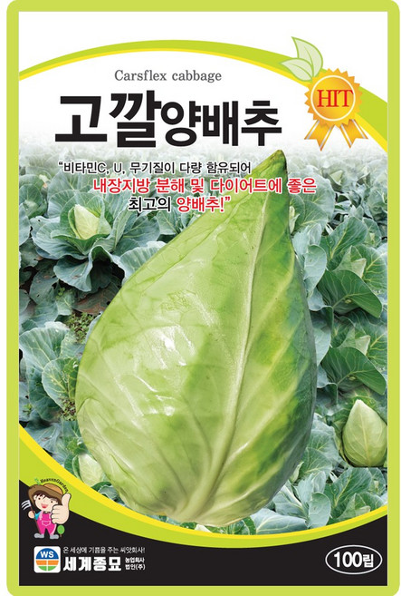 세계종묘 고깔양배추 씨앗 100립 고깔 양배추씨 샐러드 쌈채소 종자, 3개