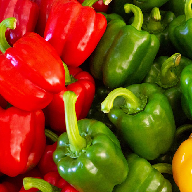 국내산 청 피망 홍 피망 상품 500g-5kg, 청피망(상)3kg, 1개