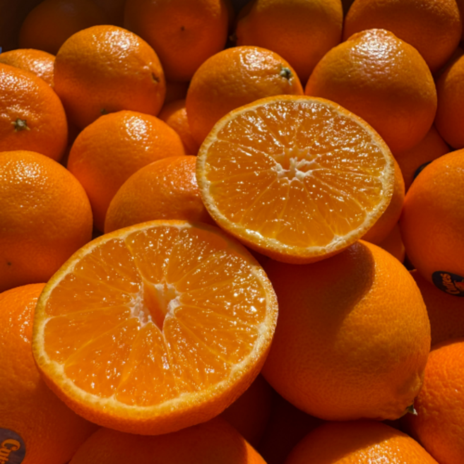 만월상회 고당도 귤 만다린 감귤 만다린귤, 1박스, 로얄과 1kg