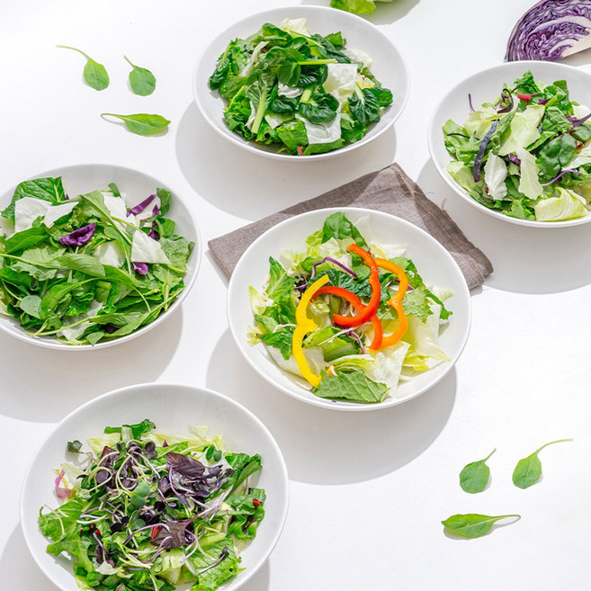 국내산 샐러드 정기배송 4주 포케 식단관리 채소믹스 혼합샐러드 5종 총 20봉구성, 100g, 20개, 매주 화요일 5팩씩(4주)