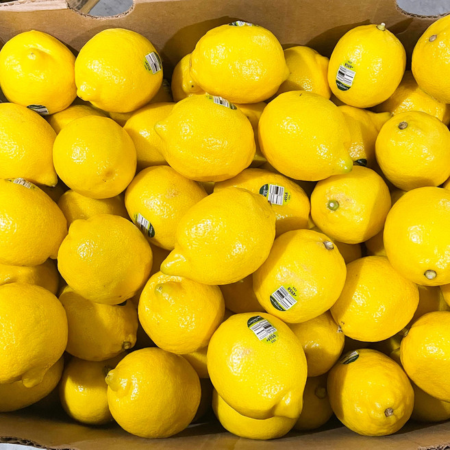 항공 팬시 생 레몬 생과 카페, 1개, 중대과 20과