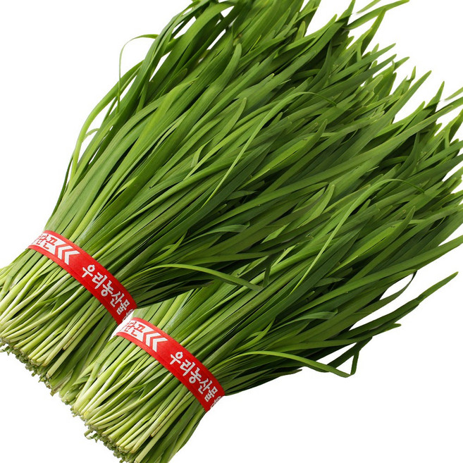 국내산 싱싱한 햇 부추 정구지 묶음, 1개, 1.2kg