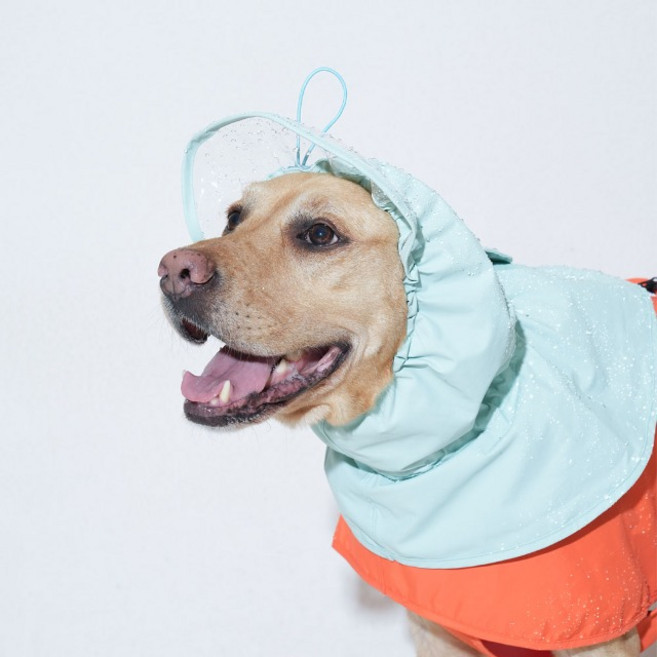 (4XL-5XL) 퍼피갤러리 대형견 우비 레인코트 올 웨더 워터 쉴드 판초, 카키, 1개