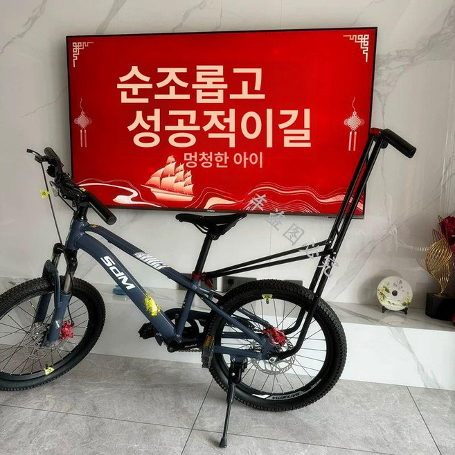 자전거 보호자 손잡이 훈련 가르치기 케이유 안장봉 두발, 1개, 업그레이드 자전거 보조봉